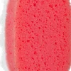 Badeschwamm rot