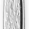 Gebogene Pinzette 9 cm mit vergoldeter Spitze