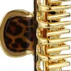 Haarkrebs Krabbe 7x 2.6 cm Leopard