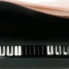 Kompakte Haarbürste rosegold
