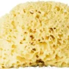 Natürlicher Badeschwamm gelb 17,5 cm