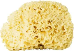 Natürlicher Badeschwamm gelb 17,5 cm