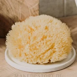 Natürlicher Meeresschwamm Honeycomb Sea Sponge 7.62 cm