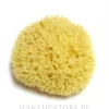 Natürlicher Meeresschwamm 12.7 cm