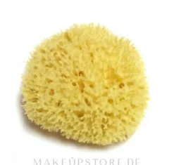 Natürlicher Meeresschwamm 14 cm